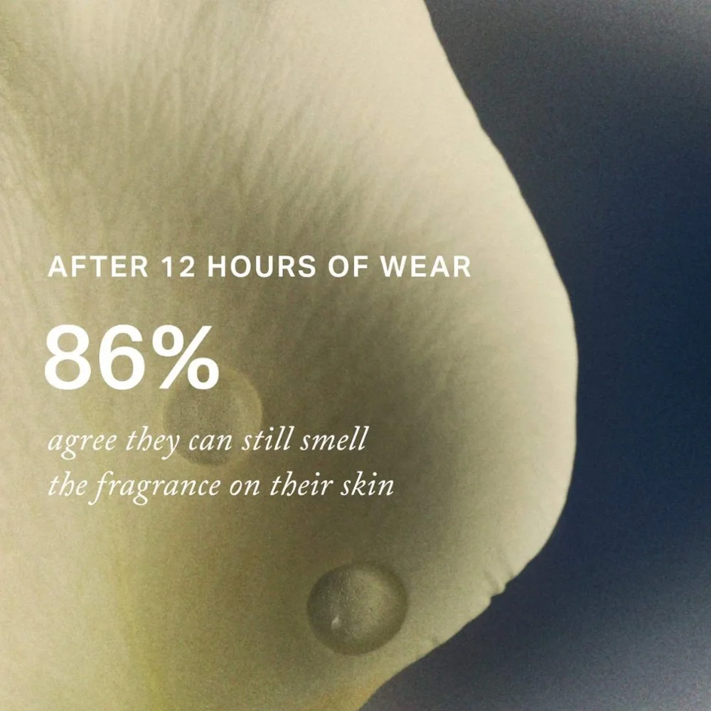 Merit Set - Picture 5 of 13